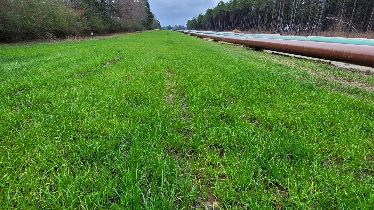 Green established pipeline corridor in Louisiana
