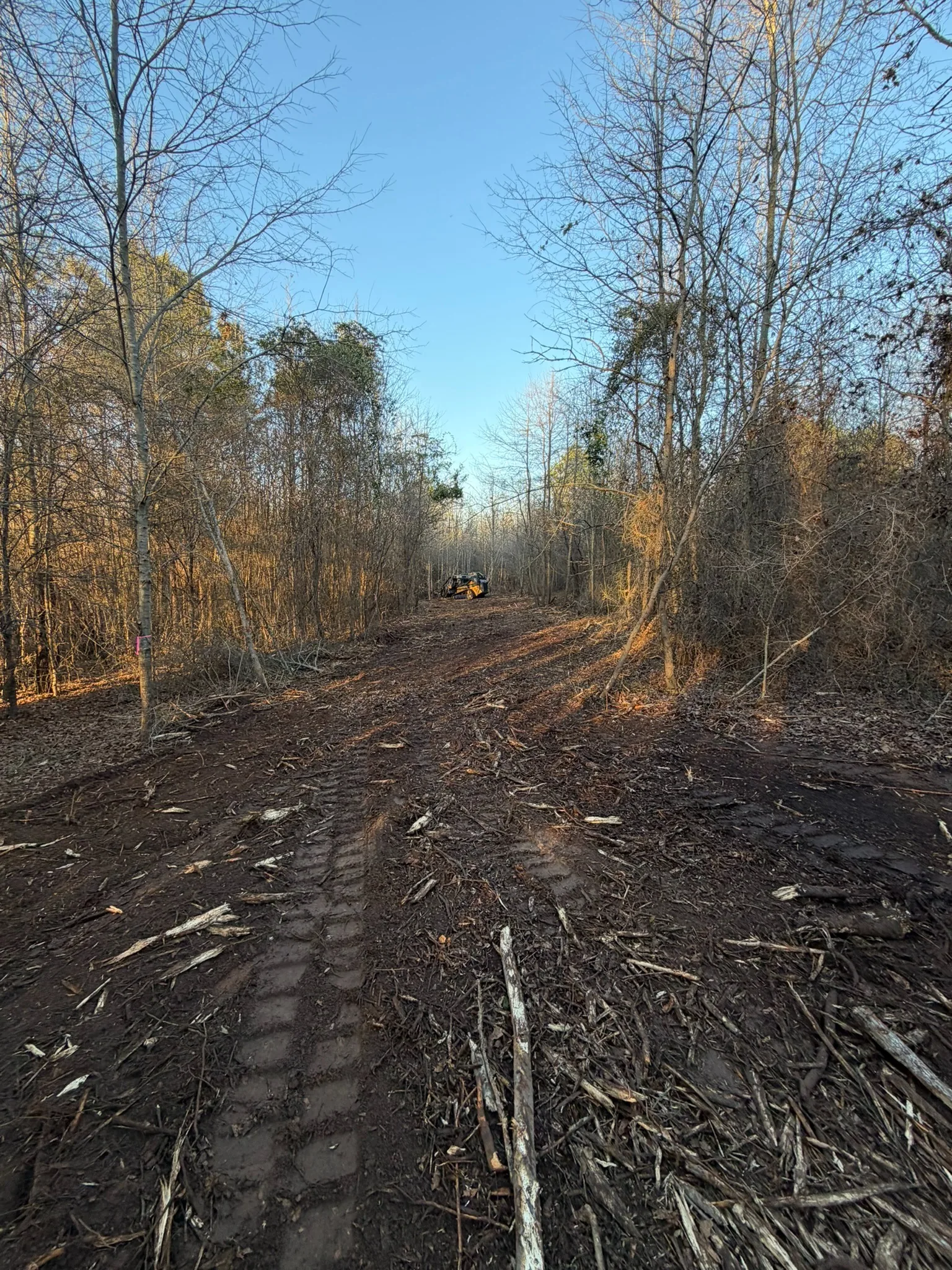 Cleared access corridor after forestry mulching